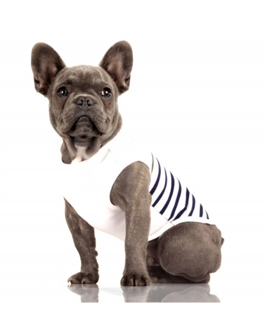 Milk and Pepper Navy Blue Bulldog Graphic Cotton T-Shirt for Men and Women