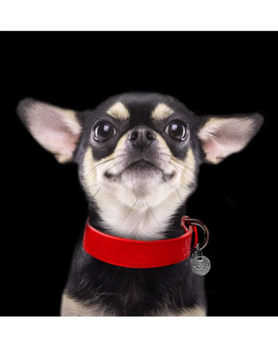Milk and Pepper Safira Collar – Elegant and Adjustable Dog Collar for Comfortable Fit