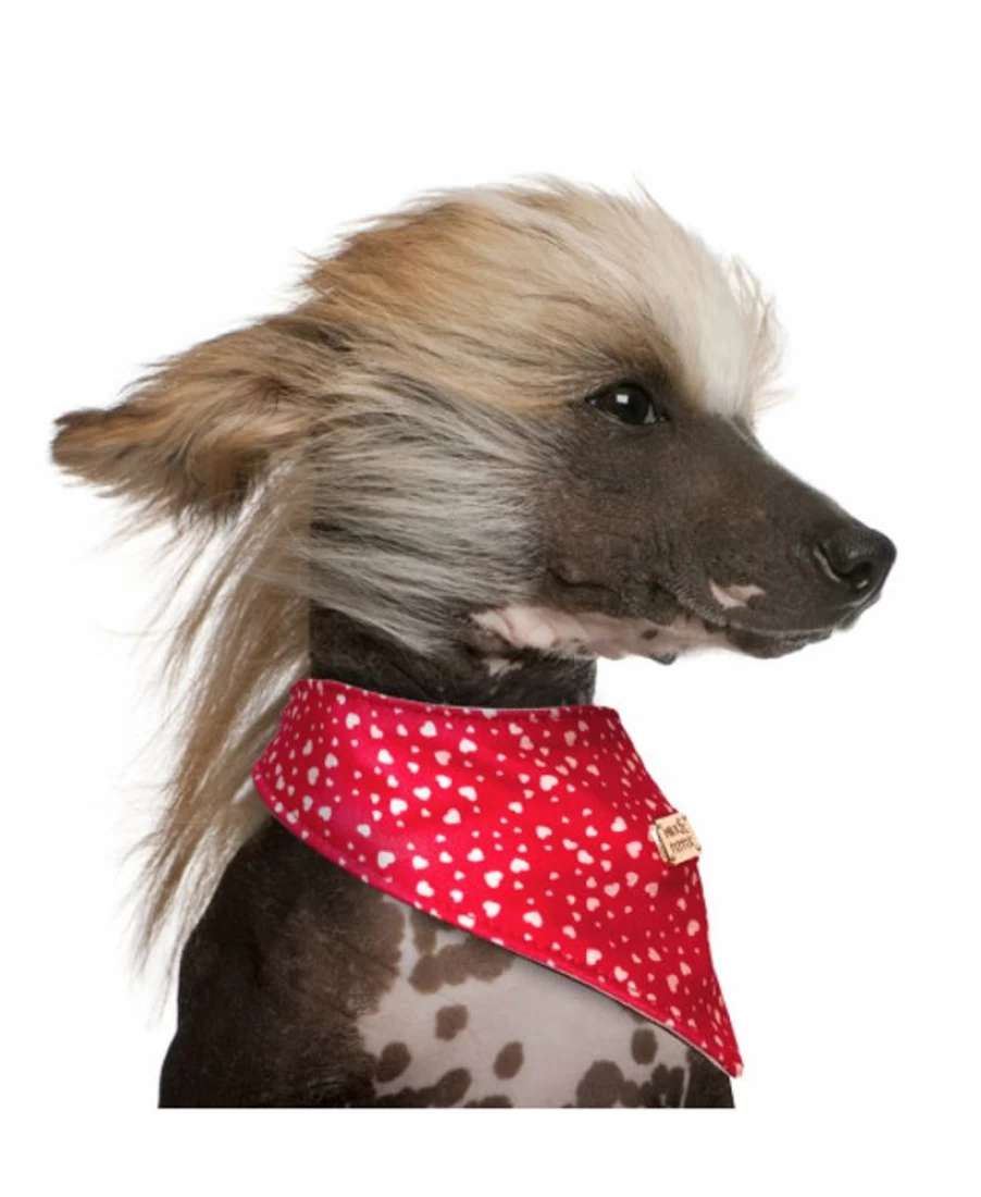 Milk and Pepper Suzie Bandana - Stylish and Comfortable Cotton Scarf for Women