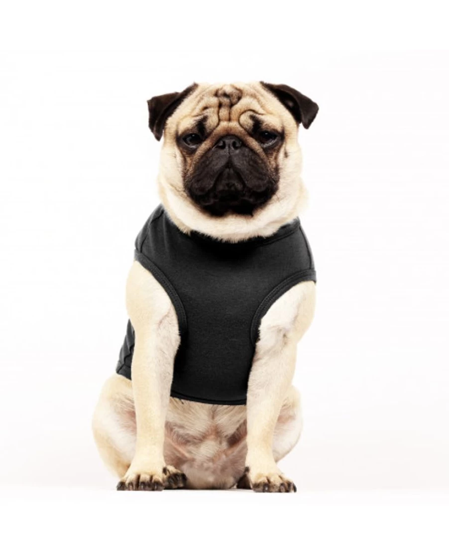 "Milk and Pepper Darren Black Cotton T-Shirt for Men - Premium Fit Casual Tee"
