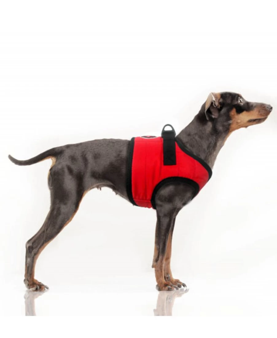 Milk and Pepper Musher Harness – Durable Dog Sledding Harness for Active Pets