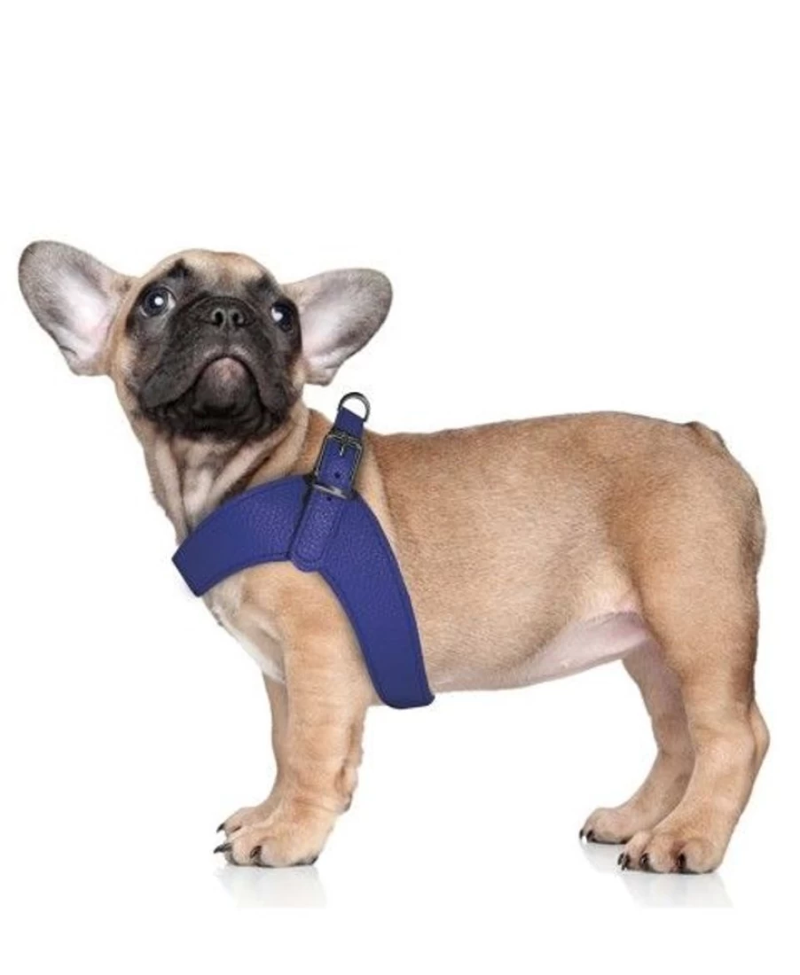 Milk and Pepper Dandy Harness - Premium Leather Dog Harness for Stylish and Secure Walks