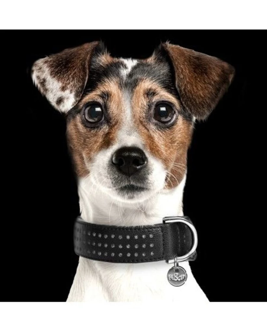 Milk and Pepper Amaya Collar - Elegant Women's Fashion Accessory