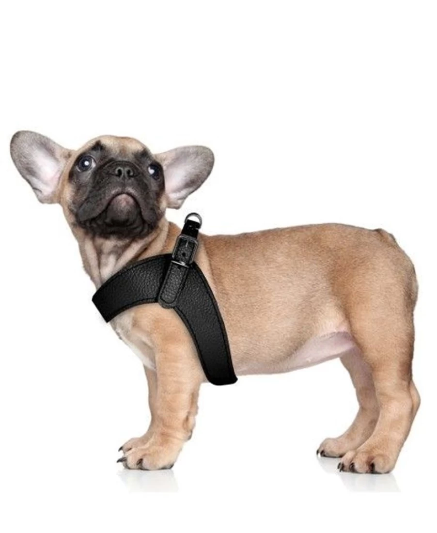 "Milk and Pepper Dandy Harness - Premium Leather Dog Harness for Stylish Pets"