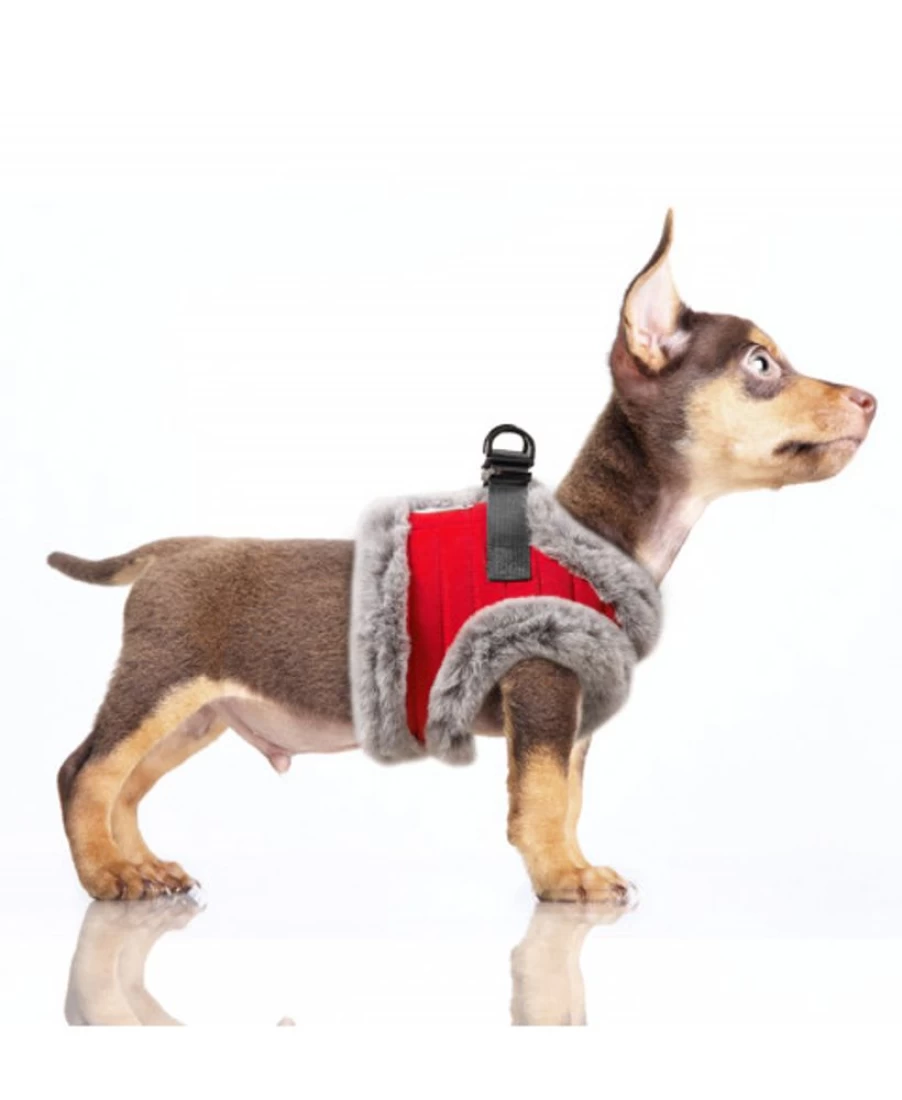 Milk and Pepper Thomas Harness - Premium Dog Harness for Comfort and Control