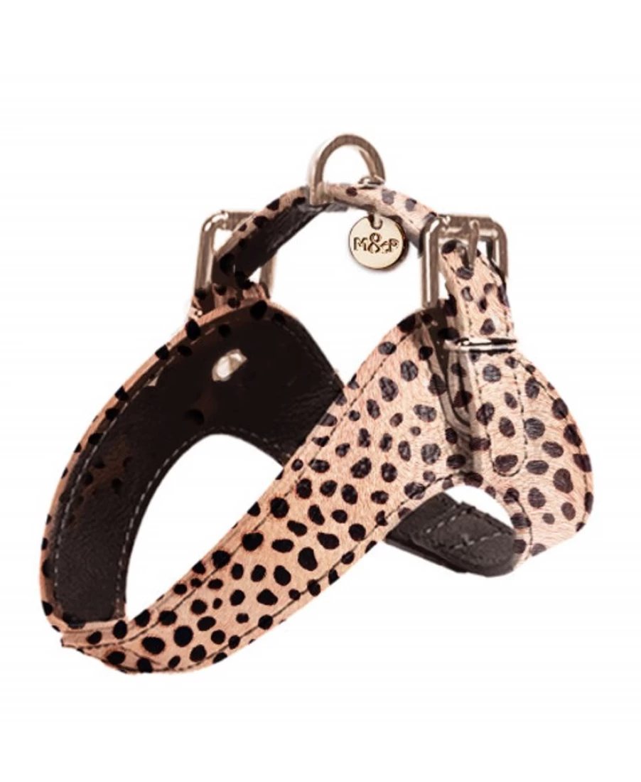 Milk and Pepper Guepard Parachute Harness for Skydiving - Premium Safety Gear