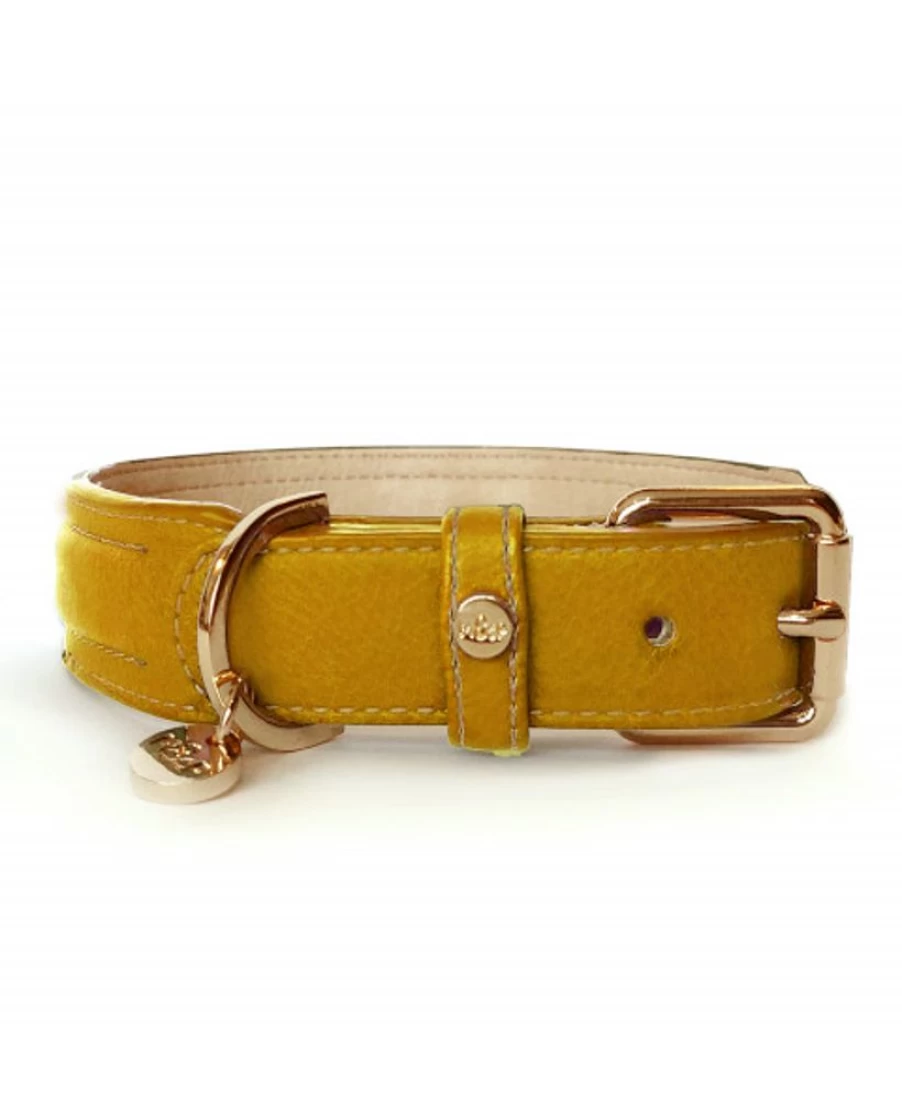 "Milk and Pepper Mustard Trocadero Collar – Stylish Dog Collar for Pets"