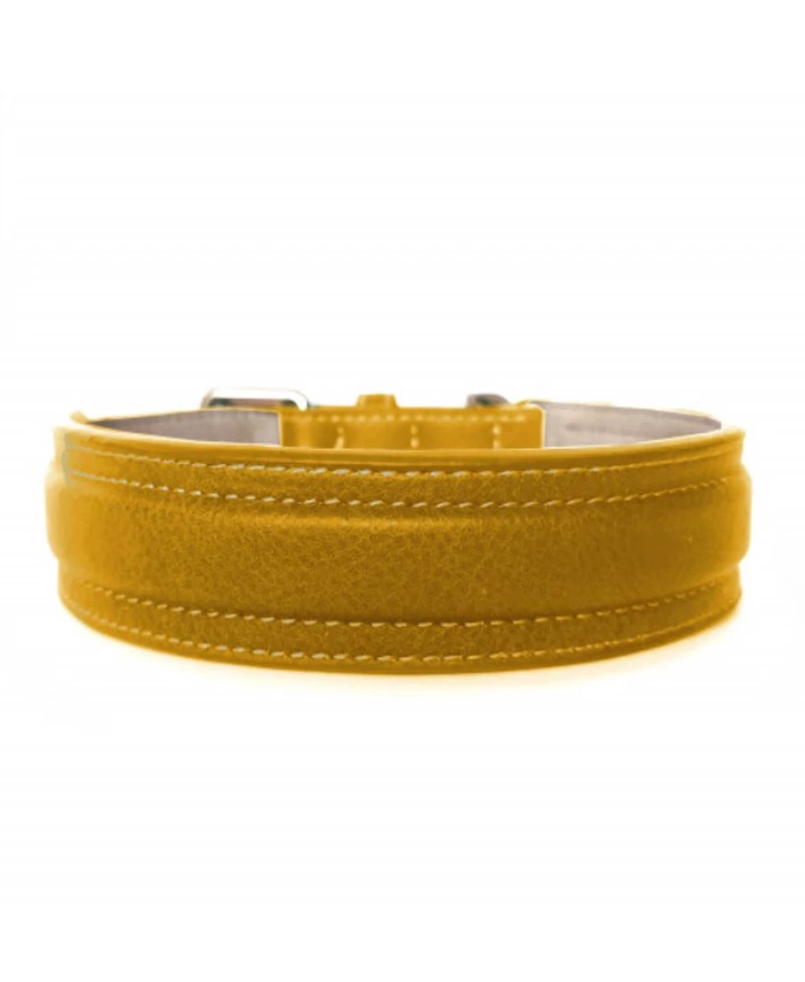 "Milk and Pepper Mustard Trocadero Collar – Stylish Dog Collar for Pets"