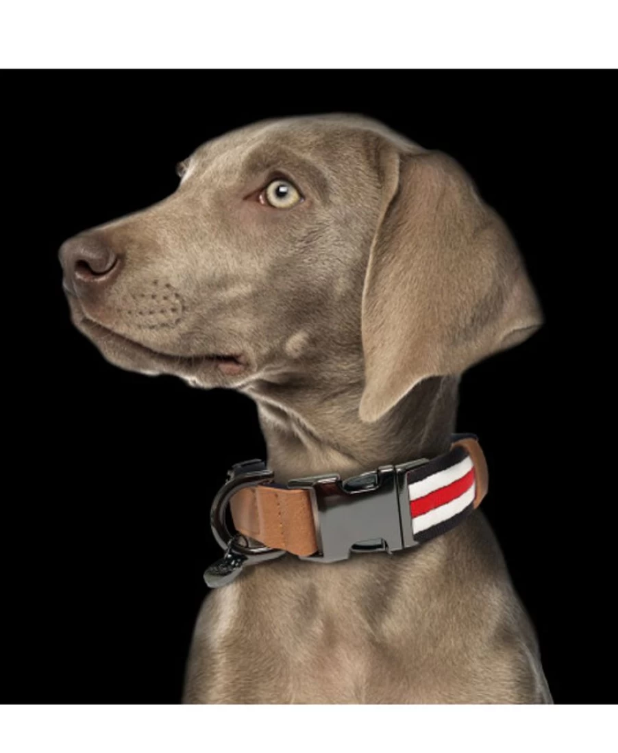 Milk and Pepper Heritage Adjustable Collar – Classic Style with Custom Fit