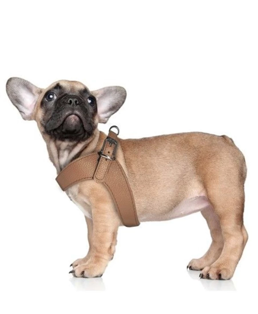Milk and Pepper Dandy Harness - Stylish Leather Dog Harness for Comfort and Control