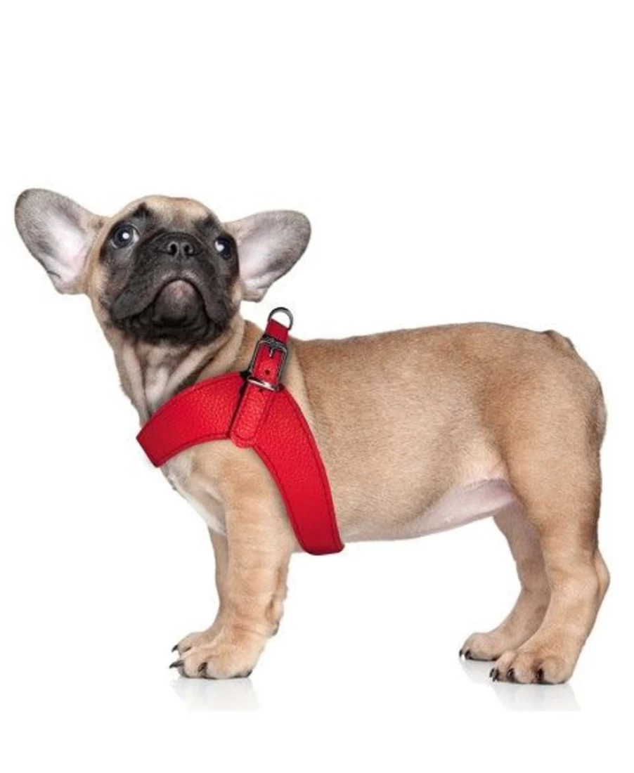"Milk and Pepper Dandy Harness - Premium Leather Dog Harness for Comfort and Style"