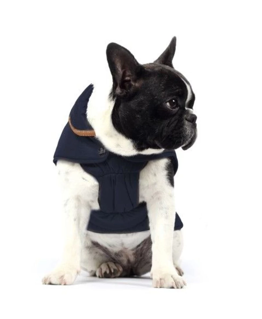 "Milk and Pepper Women's Campus Coat - Stylish Outerwear for College Fashion"