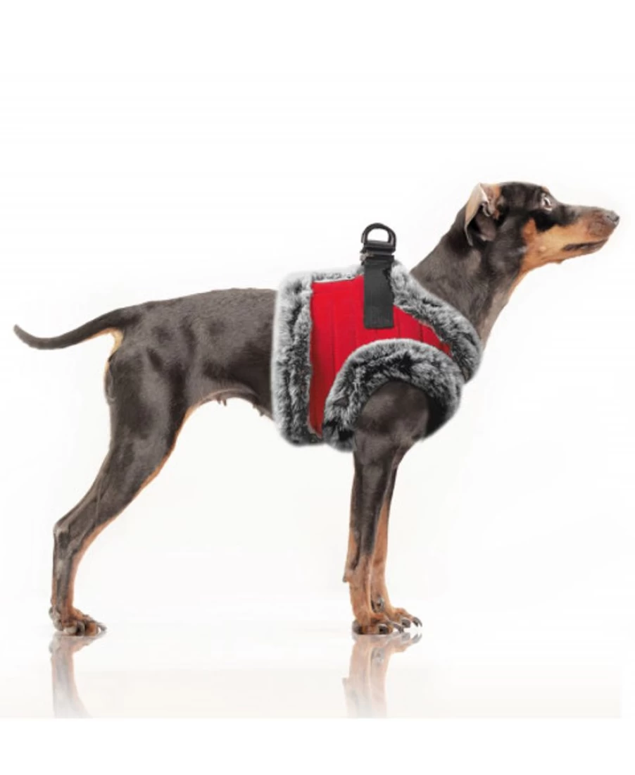 Milk and Pepper Markus Harness - Premium Dog Harness for Comfort and Control