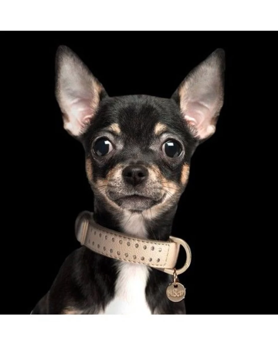 Milk and Pepper Amaya Collar - Elegant and Stylish Dog Collar for Pets