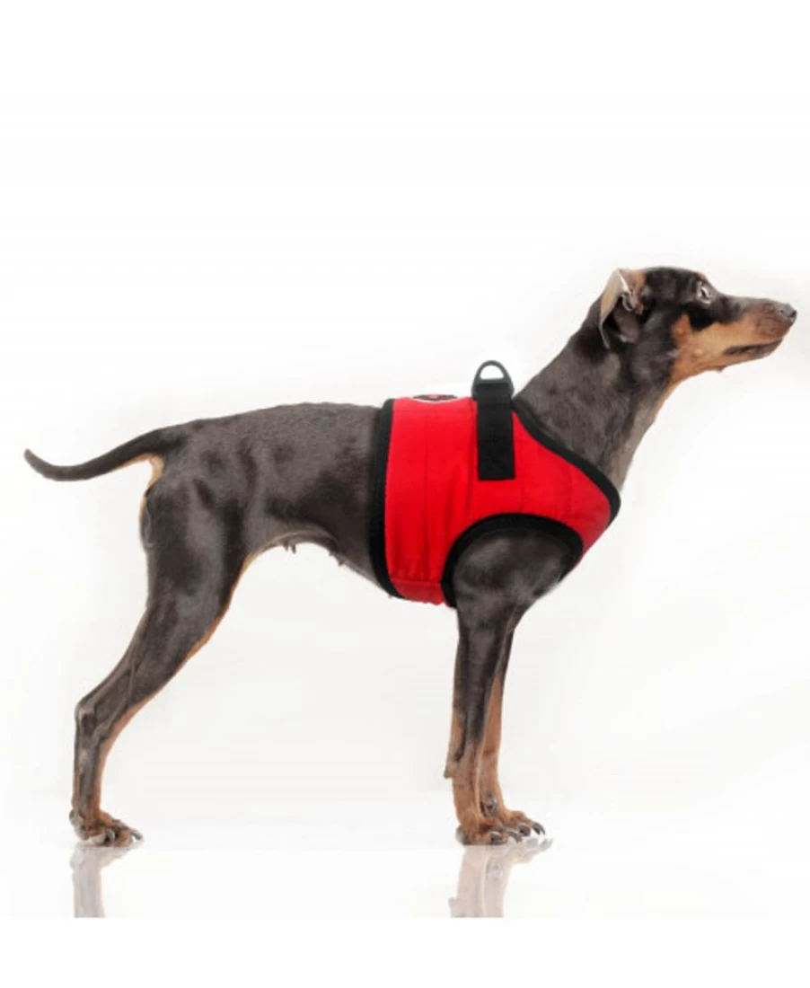 Milk and Pepper Musher Harness – Durable Dog Sledding Harness for Active Pets