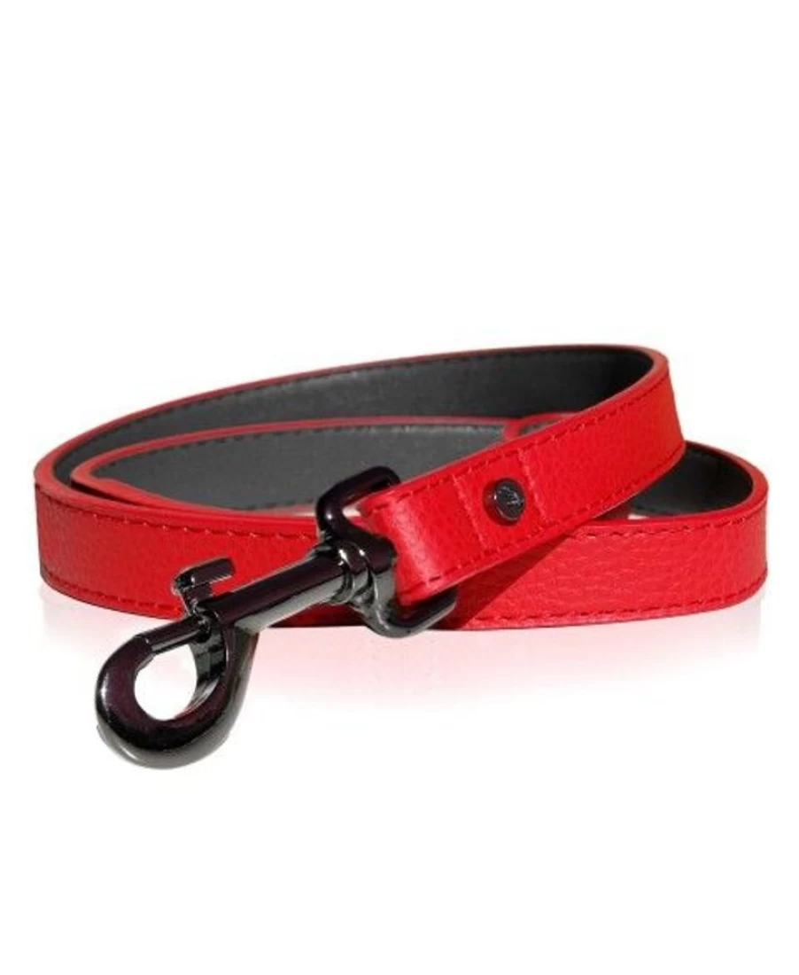 Milk and Pepper Dandy Leash – Premium Dog Leash for Comfortable and Stylish Walks