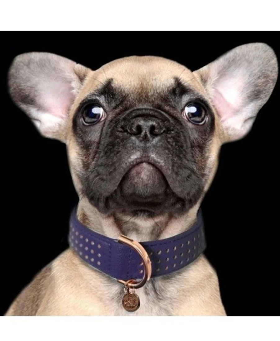 Milk and Pepper Amaya Collar - Elegant Women's Fashion Accessory for Stylish Outfits