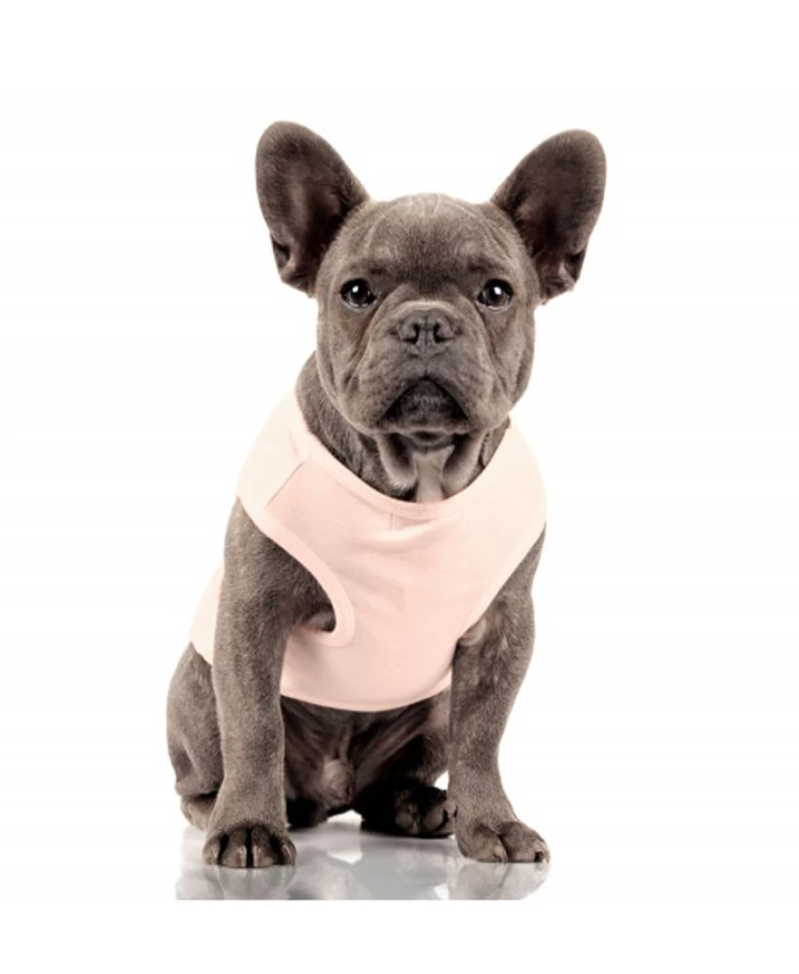 Milk and Pepper Pink Bulldog Graphic T-Shirt for Women - Chloe Inspired Casual Tee