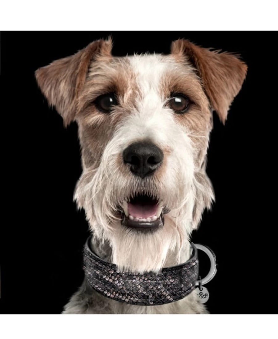 Milk and Pepper Python Print Collar - Stylish Snake Pattern Pet Accessory for Dogs and Cats