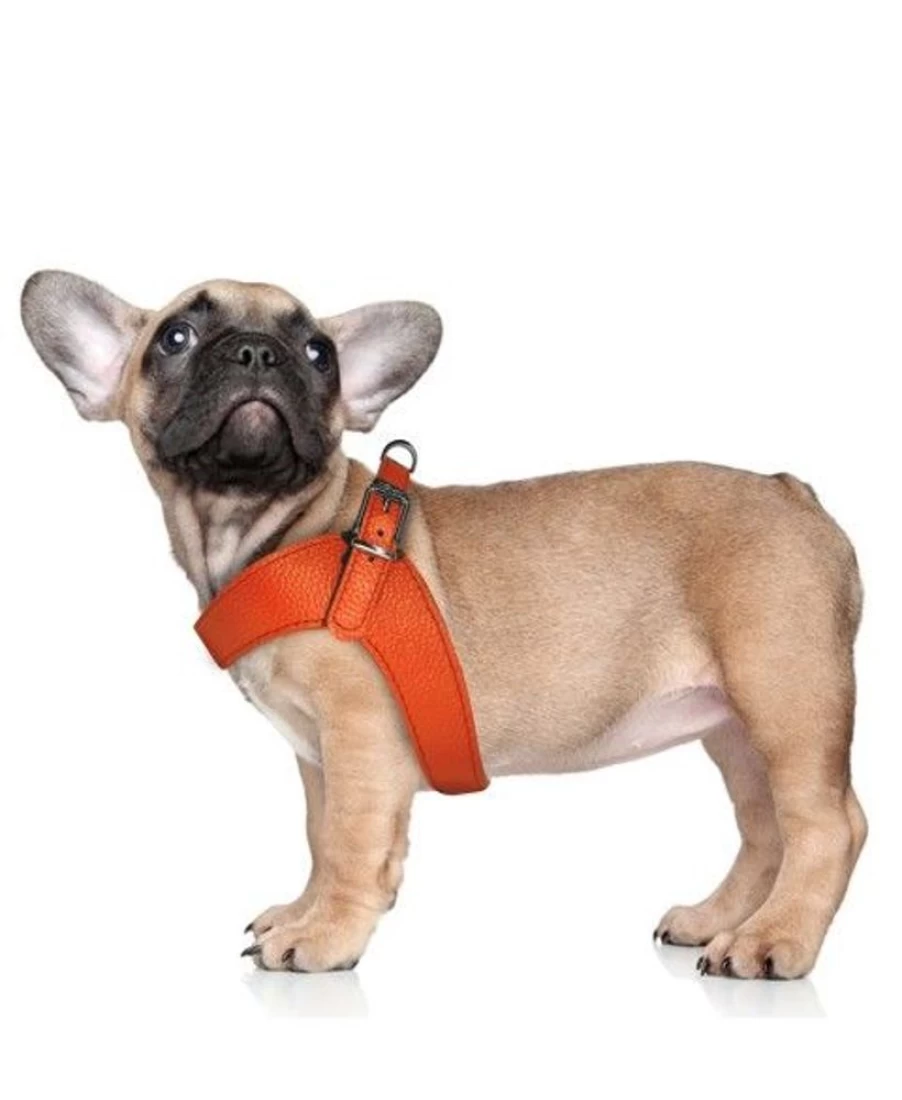 "Milk and Pepper Dandy Harness - Premium Leather Dog Harness for Stylish Pets"