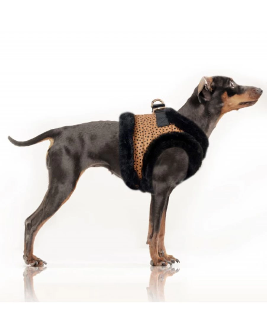 Milk and Pepper Katoun Harness - Premium Dog Harness for Safe and Comfortable Walks