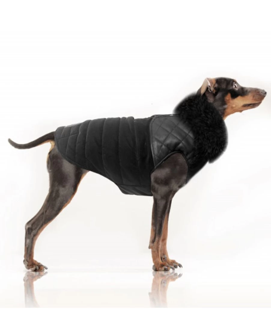Milk and Pepper Shane Puff Jacket - Stylish Women's Winter Coat for Warmth and Fashion