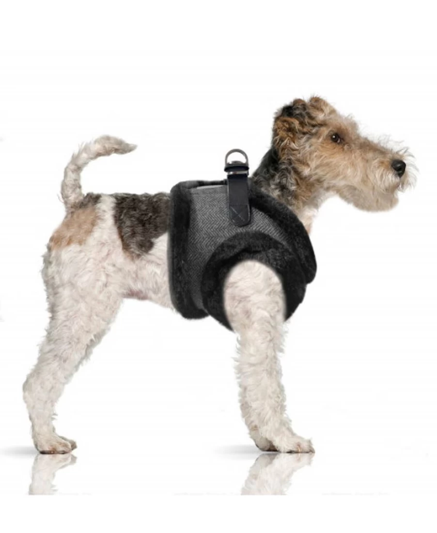 "Milk and Pepper Wallace Harness – Premium Dog Harness for Comfort and Control"