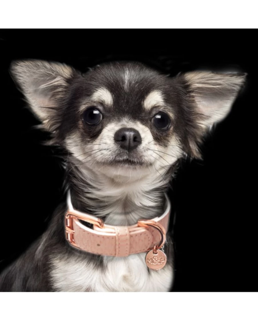 Milk and Pepper Safira Collar – Elegant Dog Collar for Stylish Pets