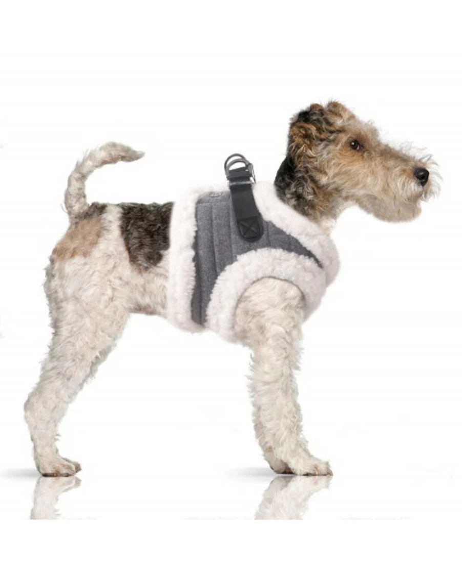 Milk and Pepper Ivar Harness – Durable and Stylish Dog Harness for Secure Walks