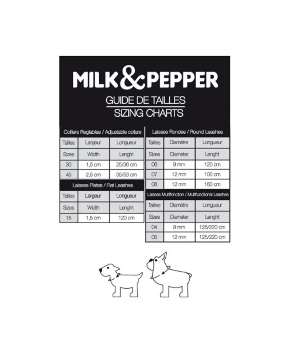 Milk and Pepper Kaya Orange Flat Dog Leash - Durable and Stylish Pet Walking Lead