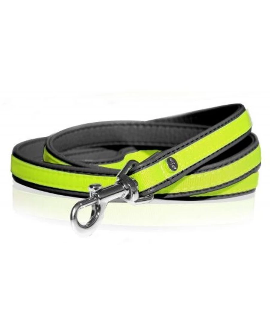 Milk and Pepper Neon Reflective Dog Leash - High Visibility Safety Lead for Night Walks