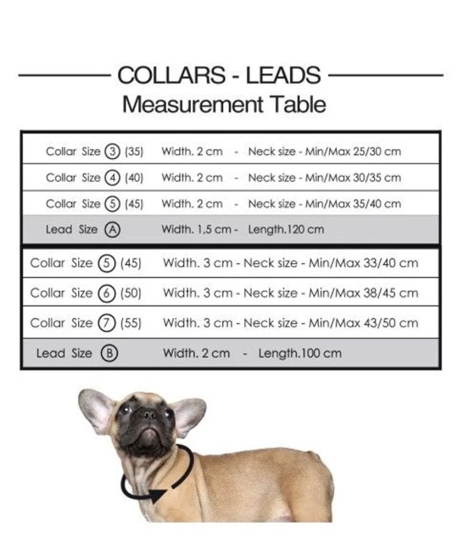 Milk and Pepper Neon Reflective Dog Leash - High Visibility Safety Lead for Night Walks