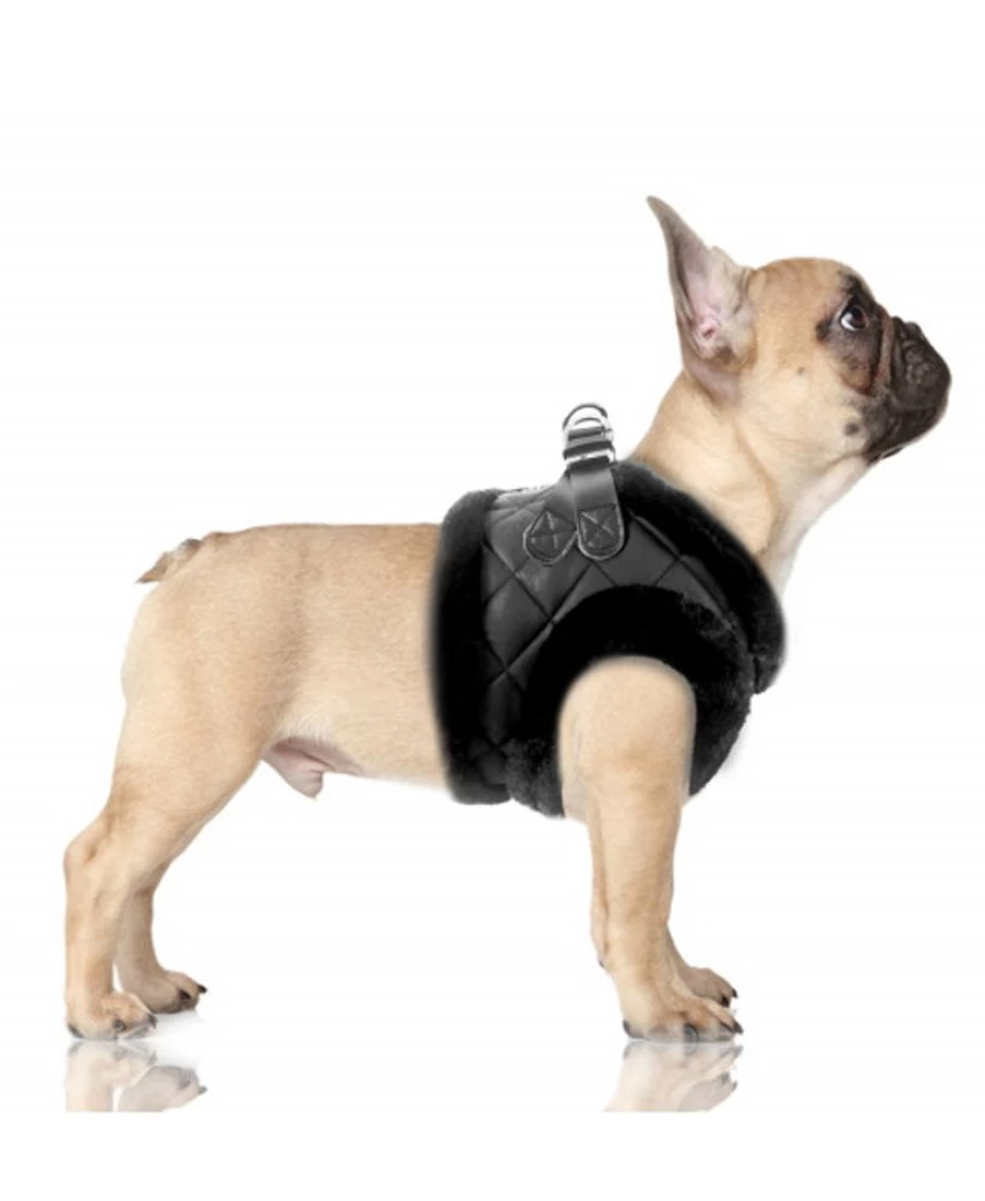 "Milk and Pepper Jake Harness – Premium Dog Harness for Safe and Comfortable Walks"