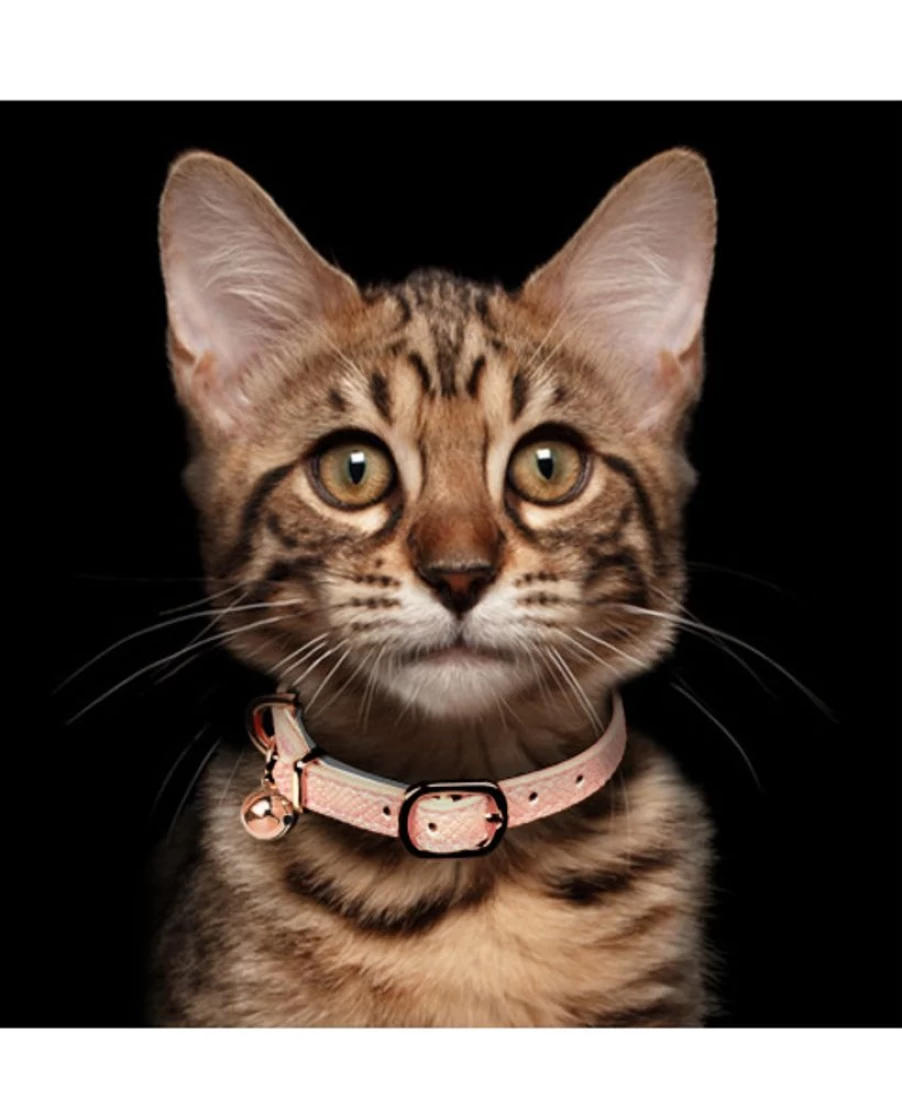Milk and Pepper Safira Cat Collar - Adjustable, Reflective Safety Kitten Collar with Bell for Indoor & Outdoor Cats