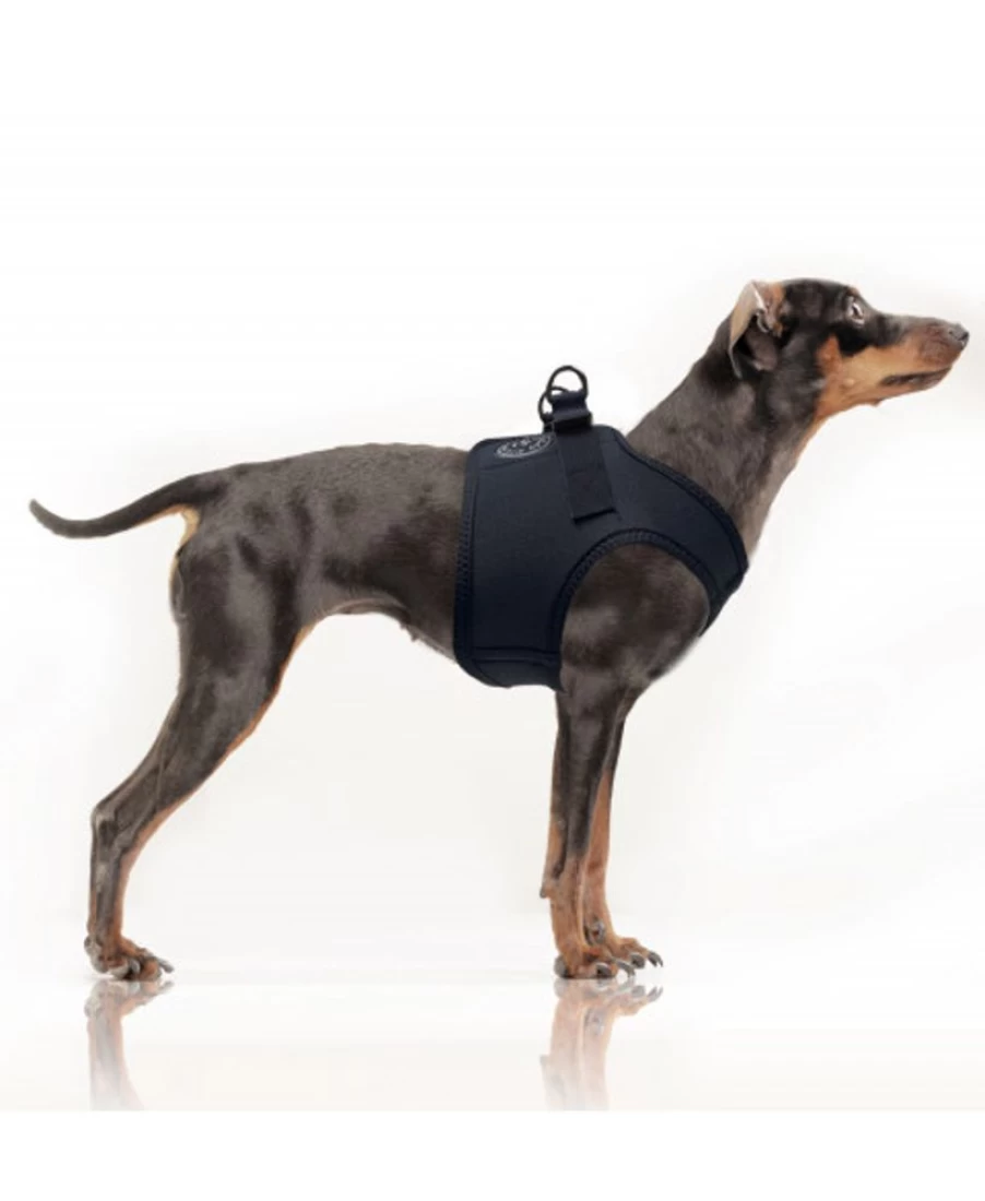 Milk and Pepper Erwan Navy Blue Leather Harness – Stylish BDSM Gear for Men and Women