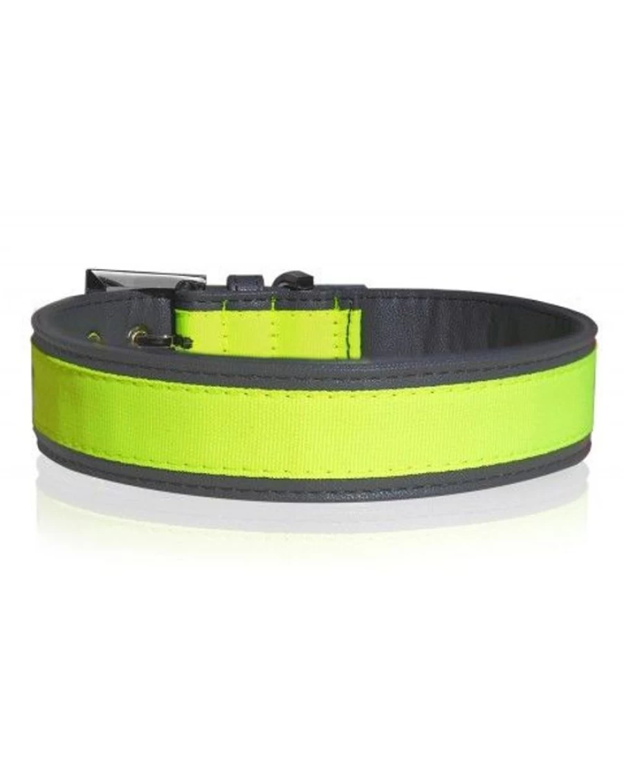 Milk and Pepper Neon Collar - Reflective Dog Collar for Night Visibility and Safety
