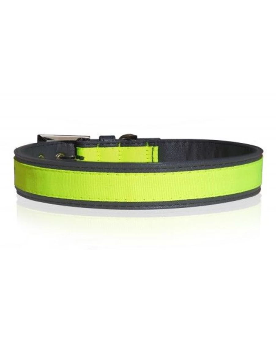 Milk and Pepper Neon Collar - Reflective Dog Collar for Night Visibility and Safety